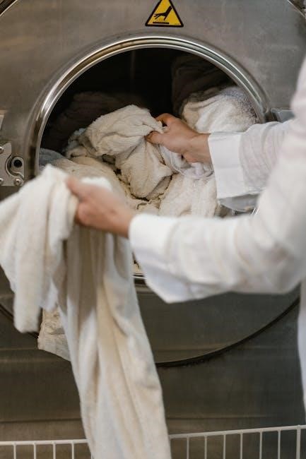 bosch series 6 dryer manual